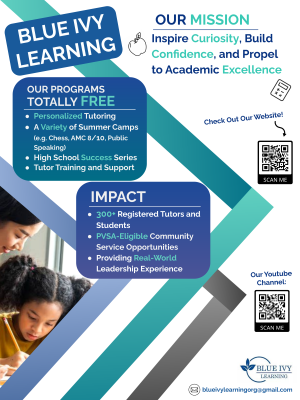 Blue Ivy Learning USA INC poster